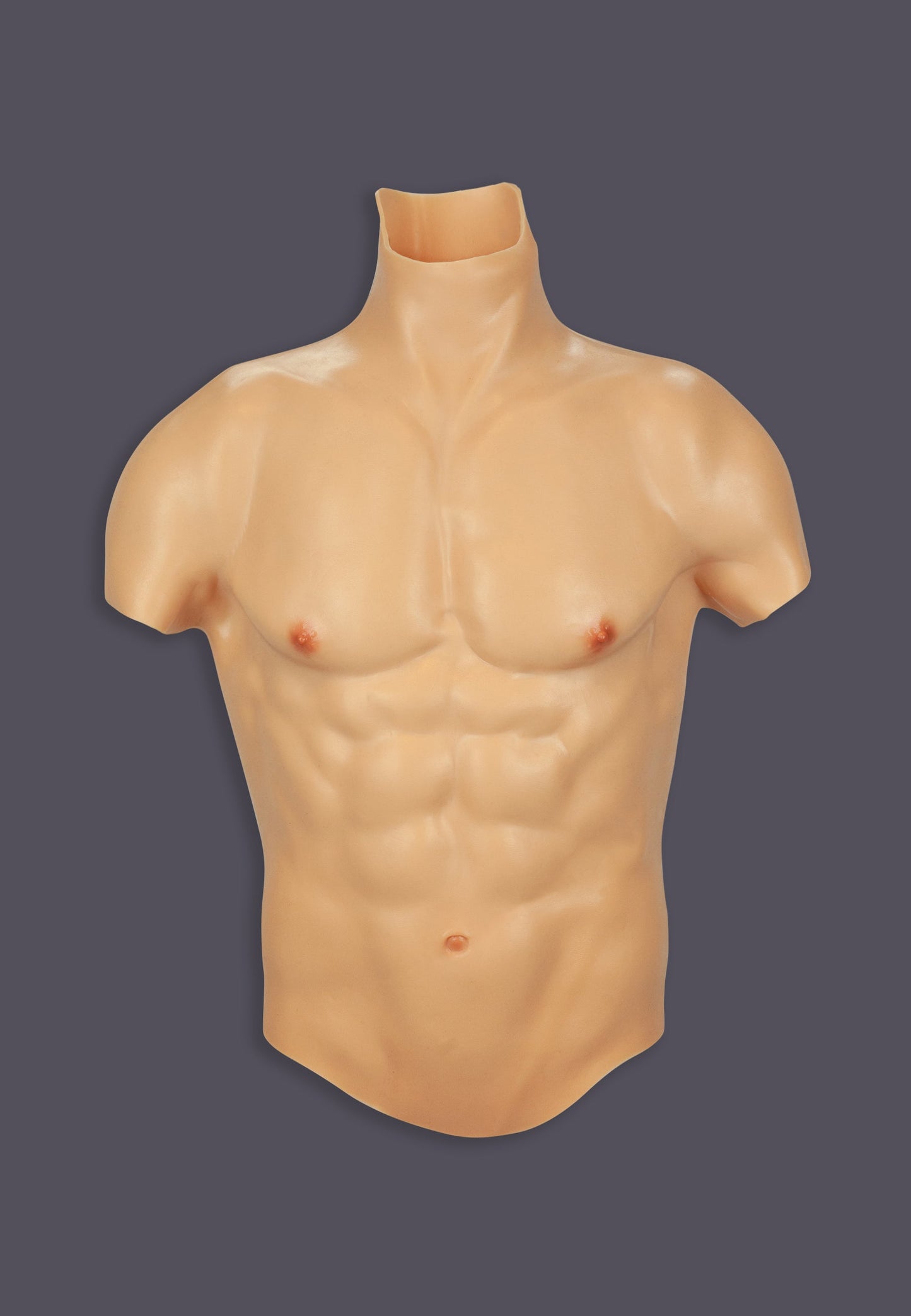 Front view of the Male Torso vanilla